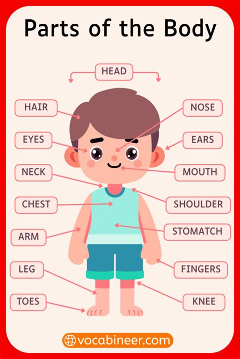 Parts Of A Chart