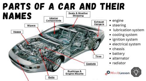Parts Of A Reprt