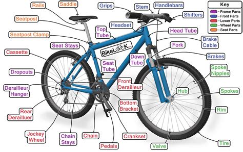 Parts Of Bicycle