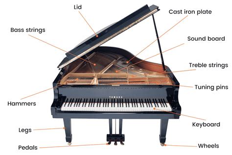 Parts Of Piano