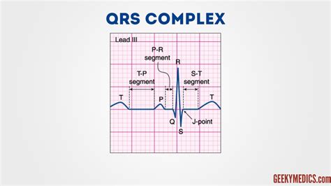 Parts Of Qrs Complex