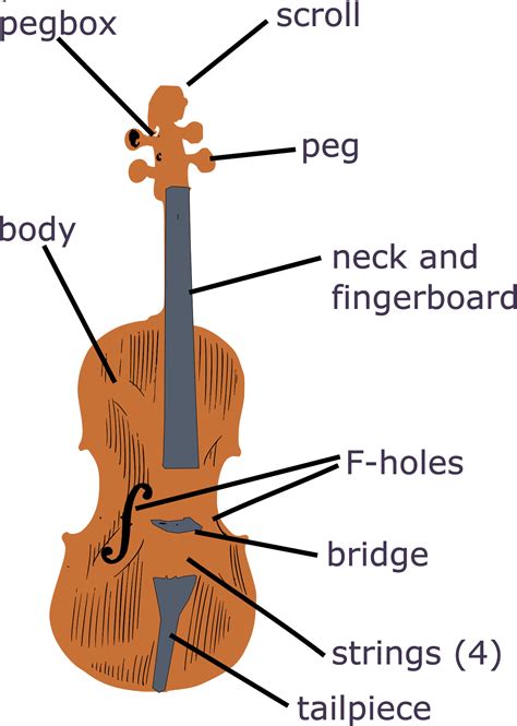 Parts Of Violin Diagram