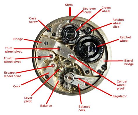 Parts Of Watch