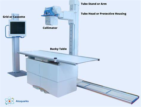 Parts Of Xray