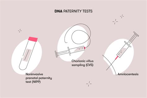 Paternity Test While Pregnant