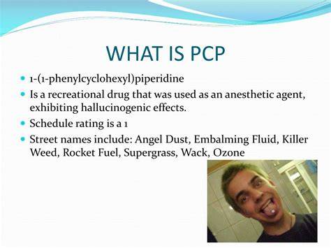 Pcp Means In Medical