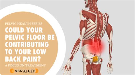 Pelvic Pain From Back