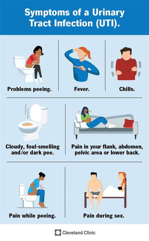 Pelvic Pain Uti