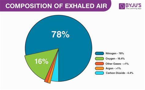 Percentage Of Oxygen In Exhaled Air