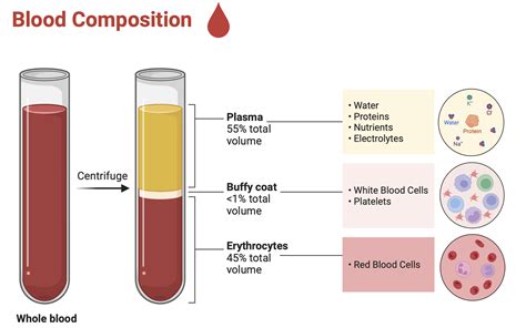 Percentage Of Plasma In Blood