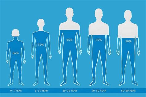 Percentage Of Water In The Body