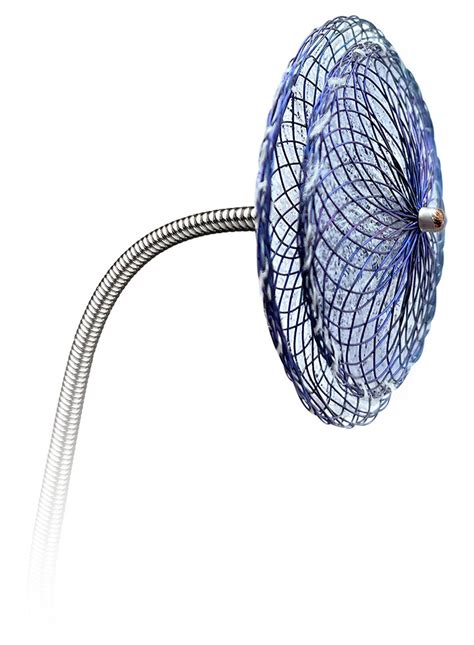 Pfo Closure Device