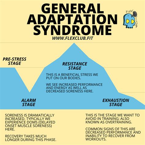 Phases Of General Adaptation Syndrome