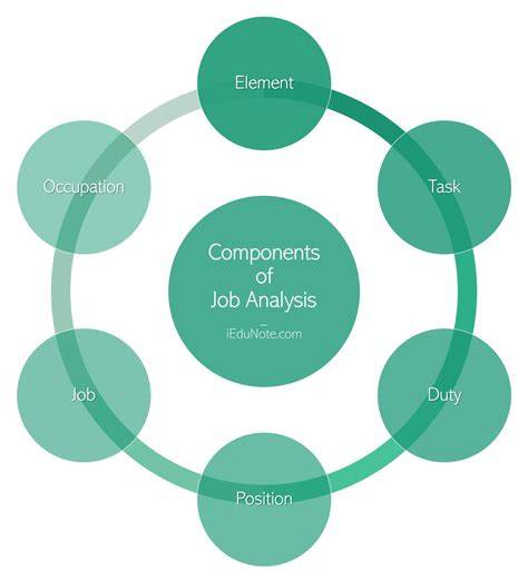 Phases Of Job Analysis