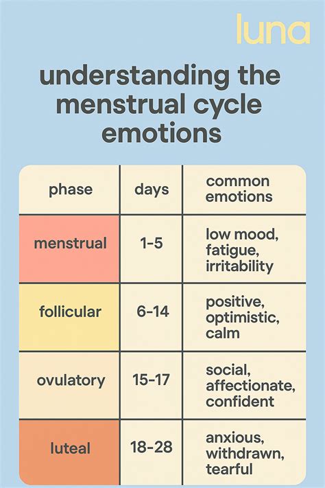 Phases Of Menstrual Cycle And Moods