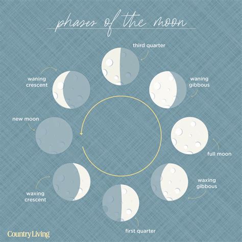 Phases Of Moon Diagram