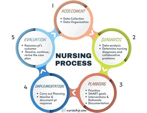 Phases Of Nursing Process