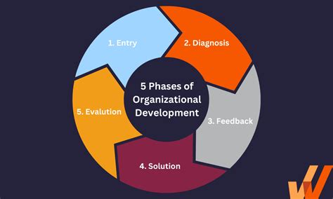 Phases Of Organizational Development