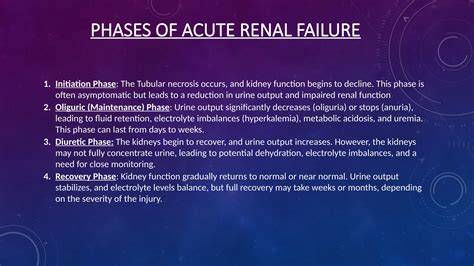 Phases Of Renal Failure