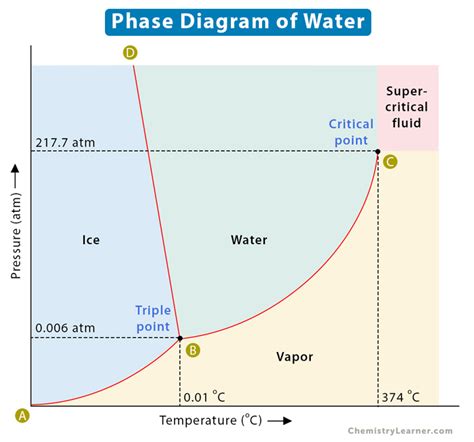 Phases Of Water