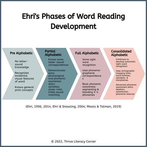 Phases Of Word Reading