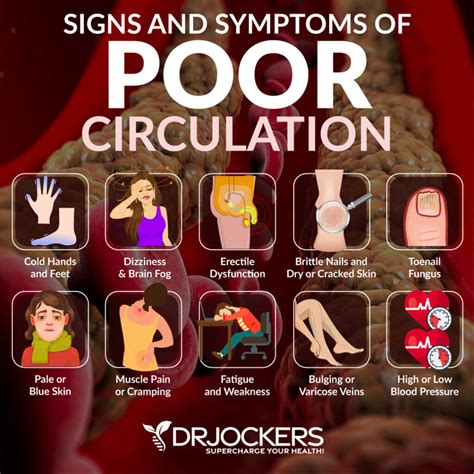 Poor Circulation Symptoms