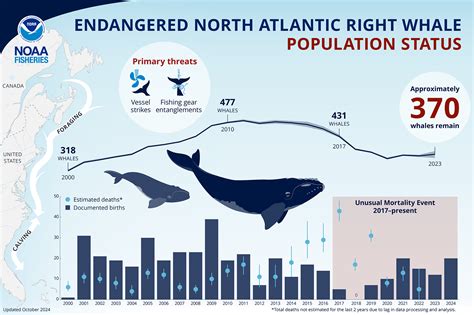 Population Of Orcas