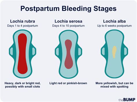 Postpartum Bleeding Stages