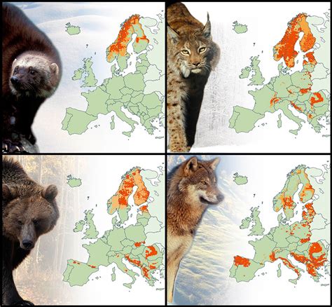 Predators Of Europe