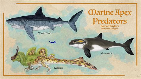 Predators Of The Sea