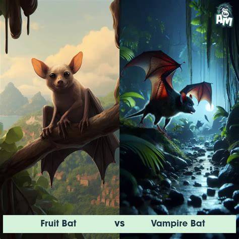 Predators Of Vampire Bats