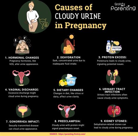 Pregnant With Cloudy Pee