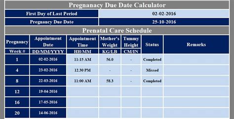 Prenatal Visit Schedule
