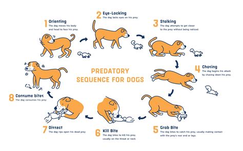 Prey Of Dogs