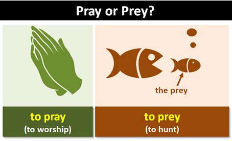 Prey Or Pray