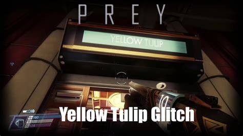 Prey Yellow Tulip Maintenance Hatch
