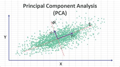 Principal Component Analysis Plot With Elips R