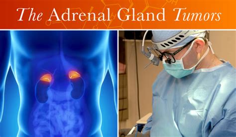 Problems With Adrenal Gland