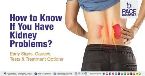 Problems With Kidneys