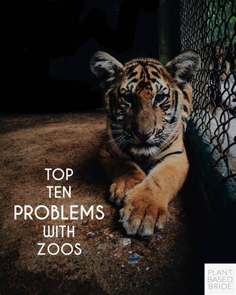 Problems With Zoos