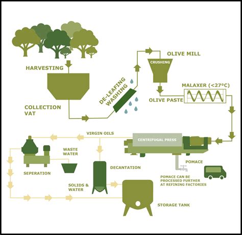 Process Of Making Olive Oil