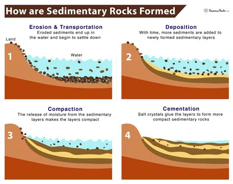 Process Of Sedimentary Rock Formation