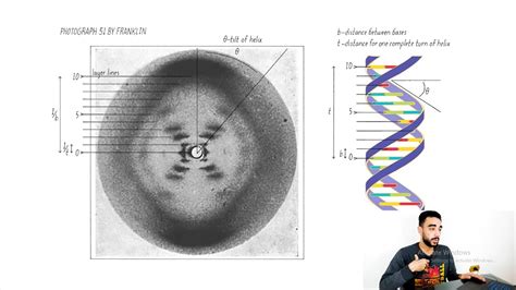 Produced X Ray Data Of Dna
