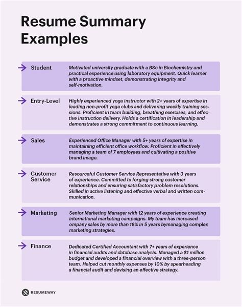 Professional Summary On Resume