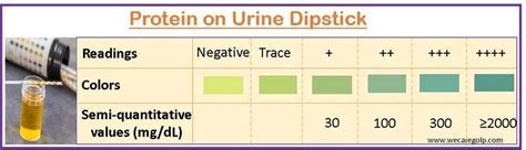 Protein In Urine Images