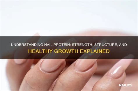 Protein Nail Growth