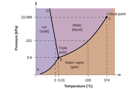 Pt Diagram