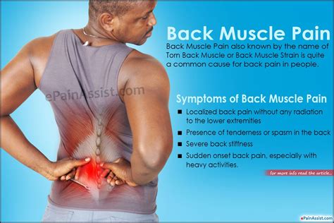Pulled Back Muscle Symptoms