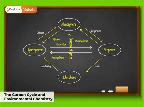 Q Cycle Chemical Formula