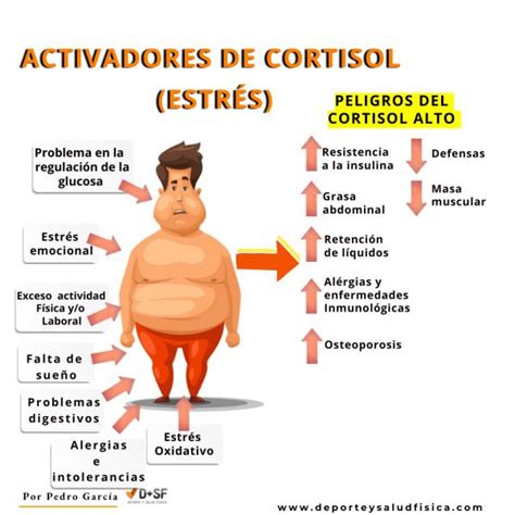 Que Es Cortisol Alto